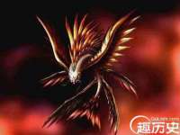 上海哈拿实业发展有限公司