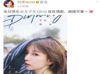 上海哈拿实业发展有限公司