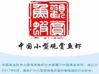 上海哈拿实业发展有限公司