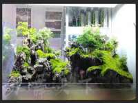 上海哈拿实业发展有限公司