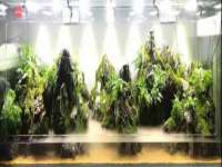 上海哈拿实业发展有限公司