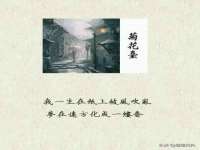 上海哈拿实业发展有限公司