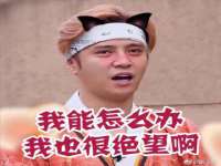 上海哈拿实业发展有限公司