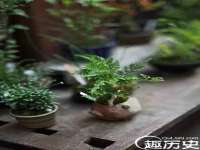 上海哈拿实业发展有限公司