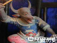 上海哈拿实业发展有限公司