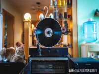 上海哈拿实业发展有限公司
