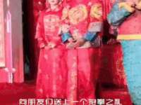 上海哈拿实业发展有限公司