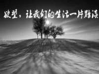 上海哈拿实业发展有限公司