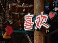 上海哈拿实业发展有限公司