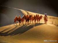 上海哈拿实业发展有限公司