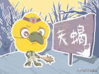 上海哈拿实业发展有限公司