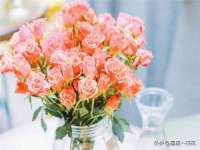 上海哈拿实业发展有限公司
