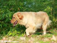 上海哈拿实业发展有限公司