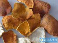 上海哈拿实业发展有限公司