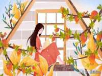 上海哈拿实业发展有限公司