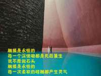 上海哈拿实业发展有限公司
