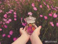 上海哈拿实业发展有限公司