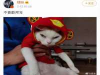 上海哈拿实业发展有限公司