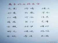 上海哈拿实业发展有限公司