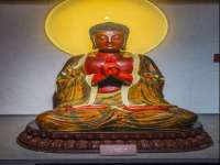 上海哈拿实业发展有限公司